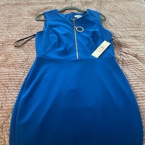 Elegant Blue Dress with Gold Zipper by Calvin Klein